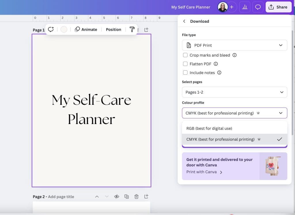 Example of how to print on Canva - screenshot of the download options.